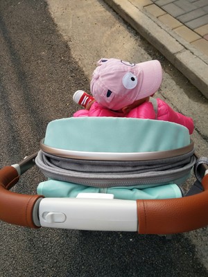 入手真实评测安儿适8188婴儿推车怎么样，新手吐槽评测不容小看