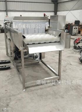 土豆清洗去皮机果蔬去皮清洗机蔬菜毛刷毛辊清洗脱皮机