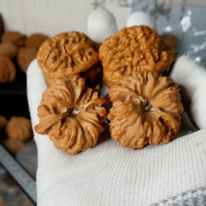 特价文玩核桃平谷凹底39肚修尖加大沽石37.5修尖