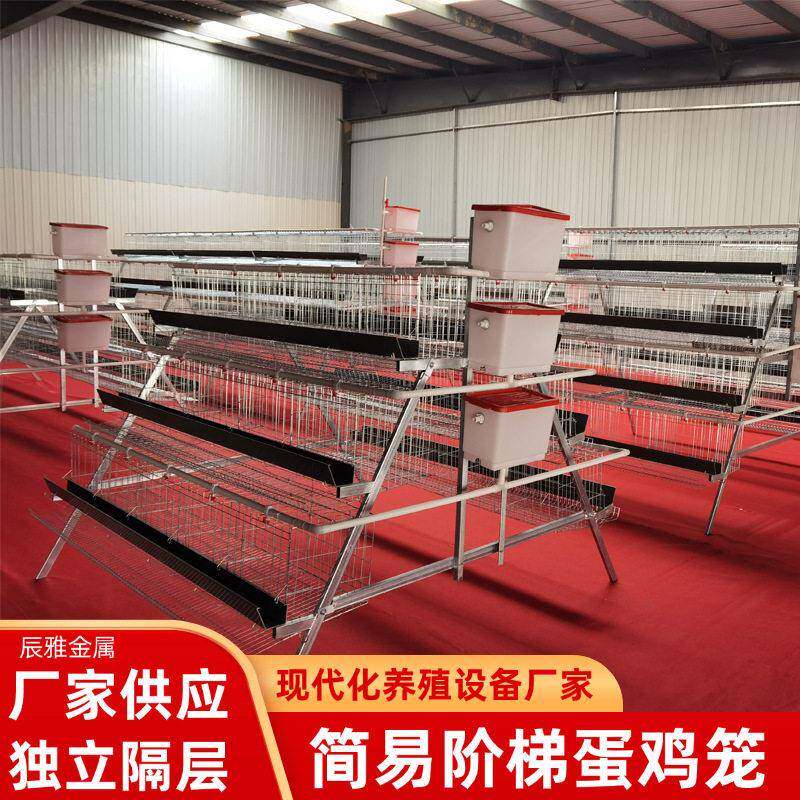 家用大棚鸡舍养鸡养殖阶梯蛋层叠式鸡笼自带水箱食槽养殖设备鸡笼