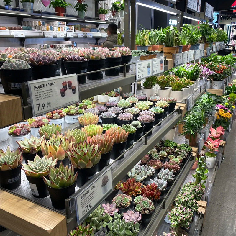 花店鲜花中岛展示柜展示架定制 门店装饰摆件操作台柜子 整店设计