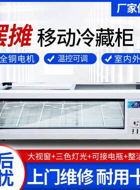 冷藏展示柜商用可移动小型冰箱冷冻柜三轮车摆摊冰柜小吃炸串台式
