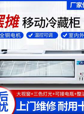 冷藏展示柜商用可移动小型冰箱冷冻柜三轮车摆摊冰柜小吃炸串台式