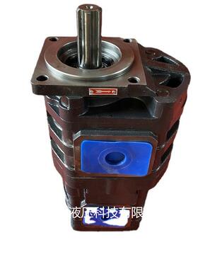 4120006320齿轮泵临工953N装载机齿轮泵