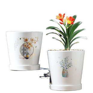 花盆陶瓷多肉批发带托盘塑料创意绿萝多肉植物一体专用盆