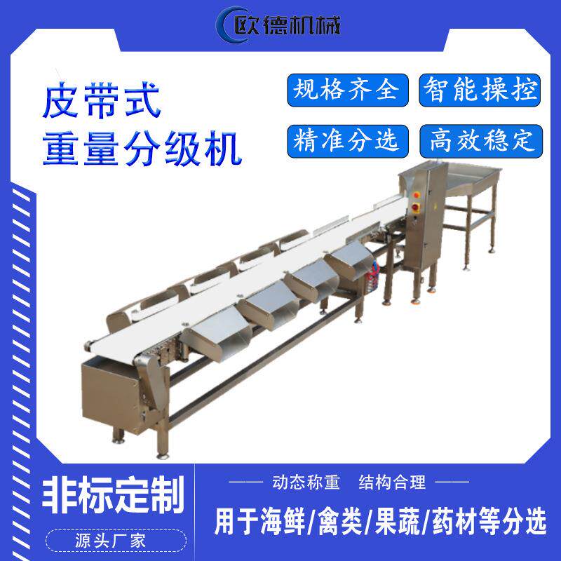 制作皮带秤白条鸡称重自动分级全鸡全鸭分级机工作快精度高