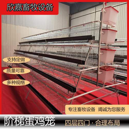 A型热镀锌阶梯蛋鸡笼四层四门白槽绿槽家用大型养殖场自动化设备