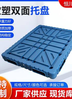BVT吹平塑双面塑料托盘冷库叉车卡化工仓库堆码周转吹塑板一体板