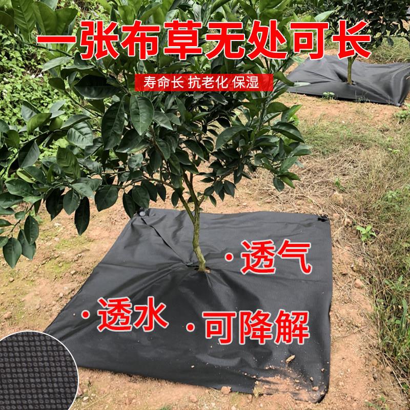 防草布地膜果园地布果树加厚保湿除草布农用生态耐用不织布新型钉