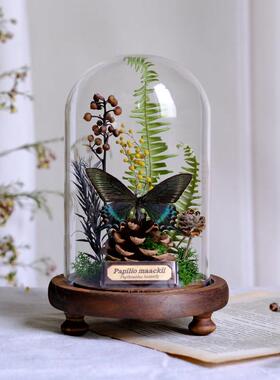 璃FUZ罩 蝴蝶标本植物永生花干干燥花摆件动昆虫物生态微景玻观礼