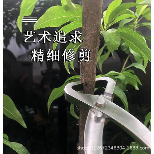 厂家直销不锈钢盆景工具破干剪破枝钳盆景造型专用工具拿弯破枝