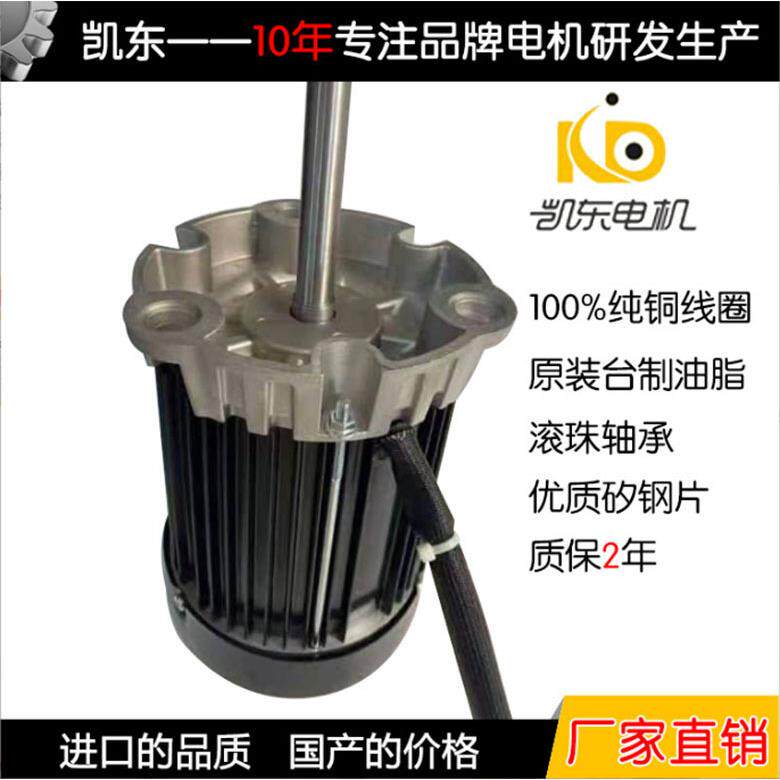 东莞厂家生产台款单相三相回流焊耐高温长轴电机140W 125W2极马达