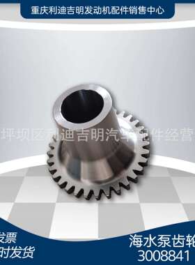 k19 k38发电机组配件 Nt855 发动机零件 海水泵齿轮3008841
