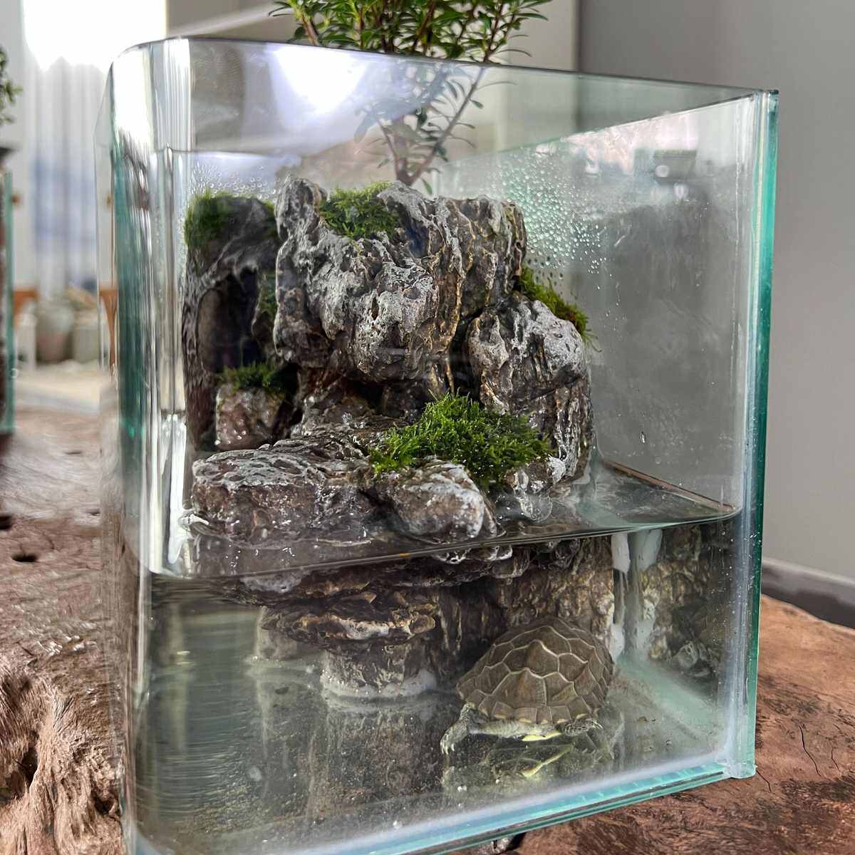 天空之城创意吸水石水族箱一石成景微景观鱼缸造景装饰桌面摆件