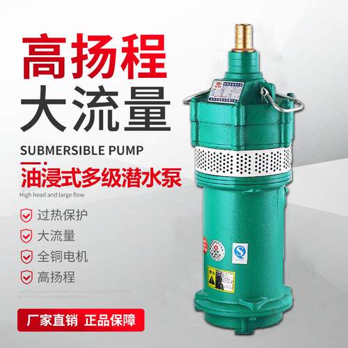家用小型多级潜水电泵农用220V压深井抽水泵小老鼠泵清水抽水泵