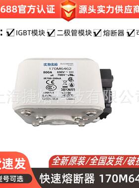 170M6462 170M6463 快速熔断器 保险丝 电子元器件 量大价优