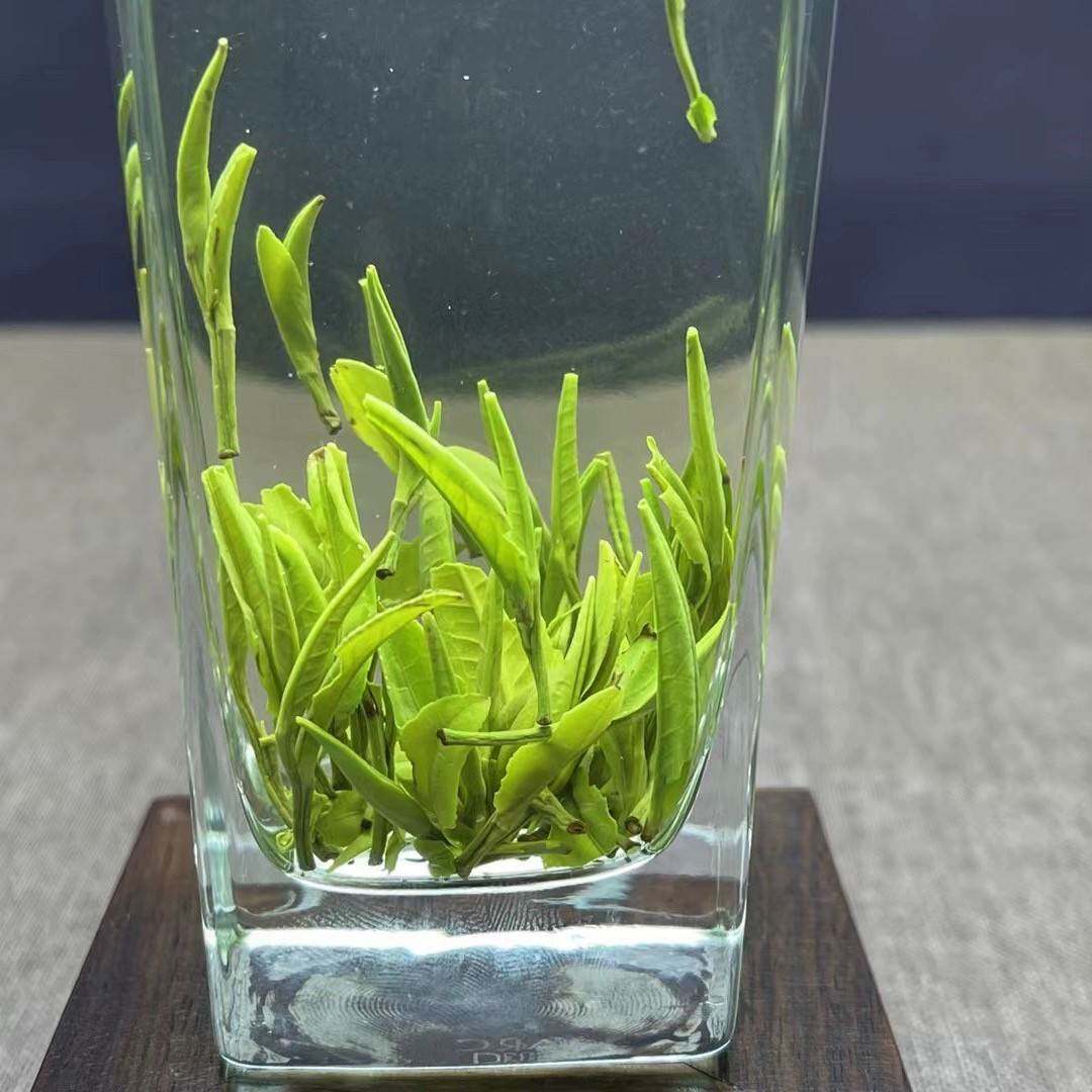 四川竹叶茶青茶峨眉山绿茶2026年新茶高山云雾茶叶一级绿茶散装