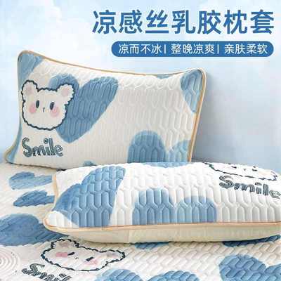 乳胶枕套一对装夏天家用冰丝凉席枕头套装一对48x74cm单人枕芯套