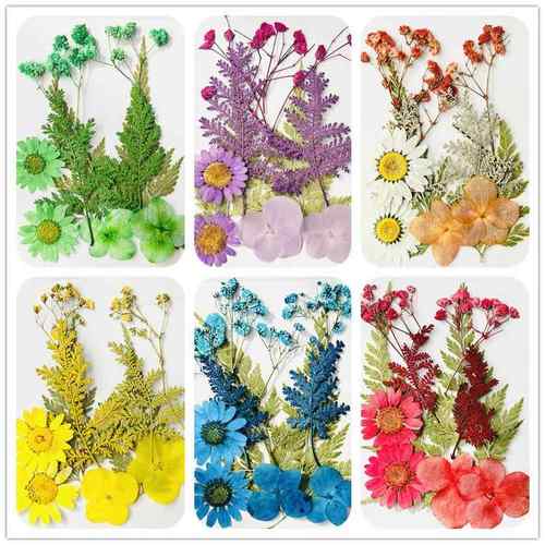 跨境干花压花手工DIY押花真花PressedFlower材料包花瓣贴脸妆