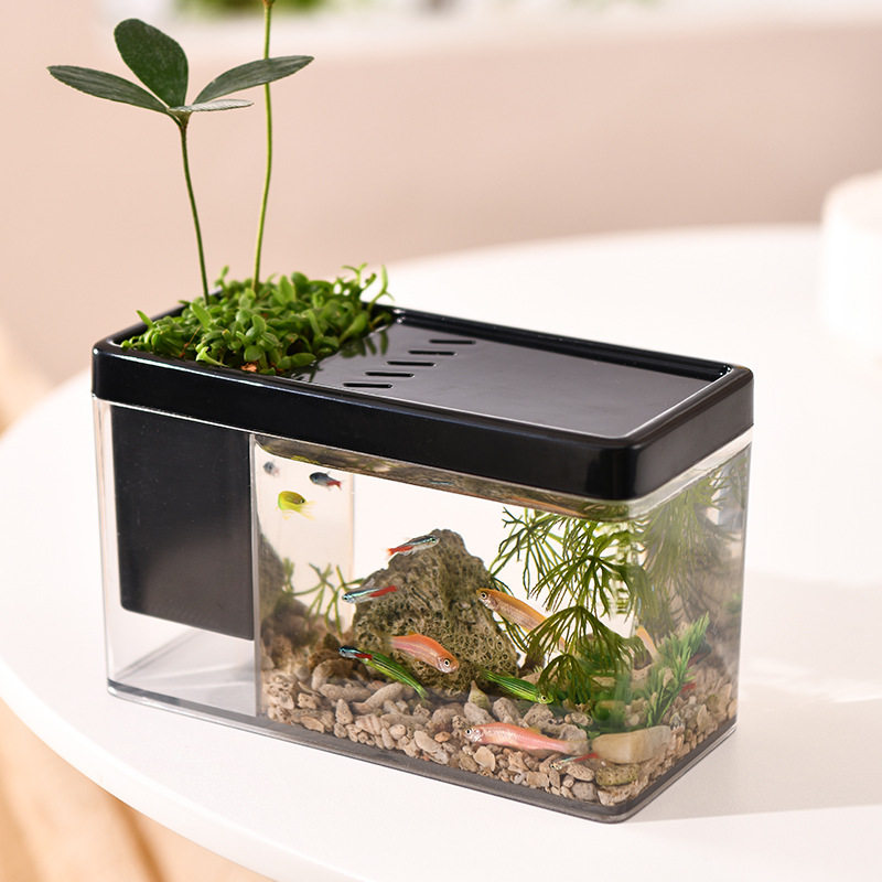 植物造型桌面生态鱼缸乌龟桌面缸