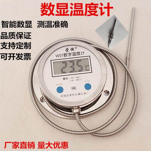 数显温度计带监视器WST/DTM491带线 线高精度耐酸防水数字工业测