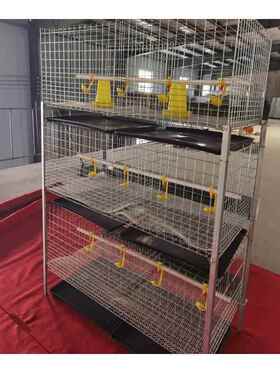 肉鸡笼镀VGH锌防锈式自动型立雏肉两用鸡笼用畜牧含托粪盘H农塑料