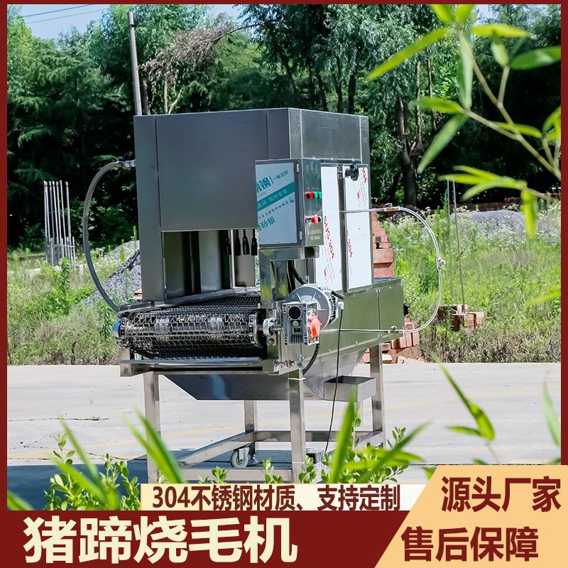 猪蹄烧毛燎毛机猪耳朵猪脸燎毛机带皮五花肉猪耳朵连续式烧毛机