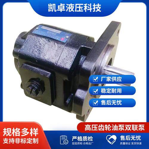高压齿轮油泵单泵HP32双联泵HP25/10静音液压齿轮油泵厂家