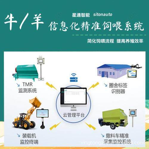 星通智能TMR精准饲喂系统育肥场育种场饲喂设备牛羊生长可视化