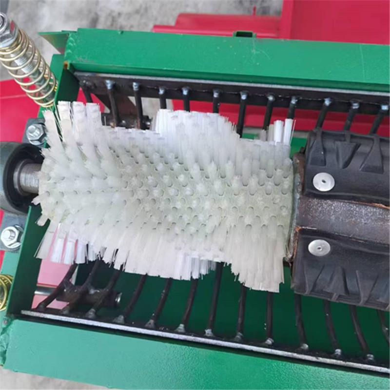 青核桃去皮机小型家用青核桃去皮清洗一体机核桃剥皮机核桃脱壳机