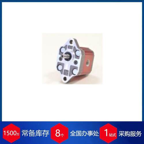 意大利液压泵XV-0P