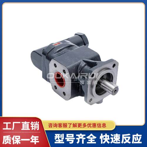 德国KRACHT克拉克齿轮泵KF50RF5 KF100LF7 KF6/20RF5-D25 KF25LF4