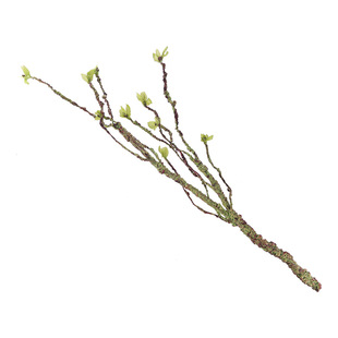 爬虫缸树藤树枝蜥蜴寄居蟹陆生攀爬造景用品爬宠仿真植物藤条装饰