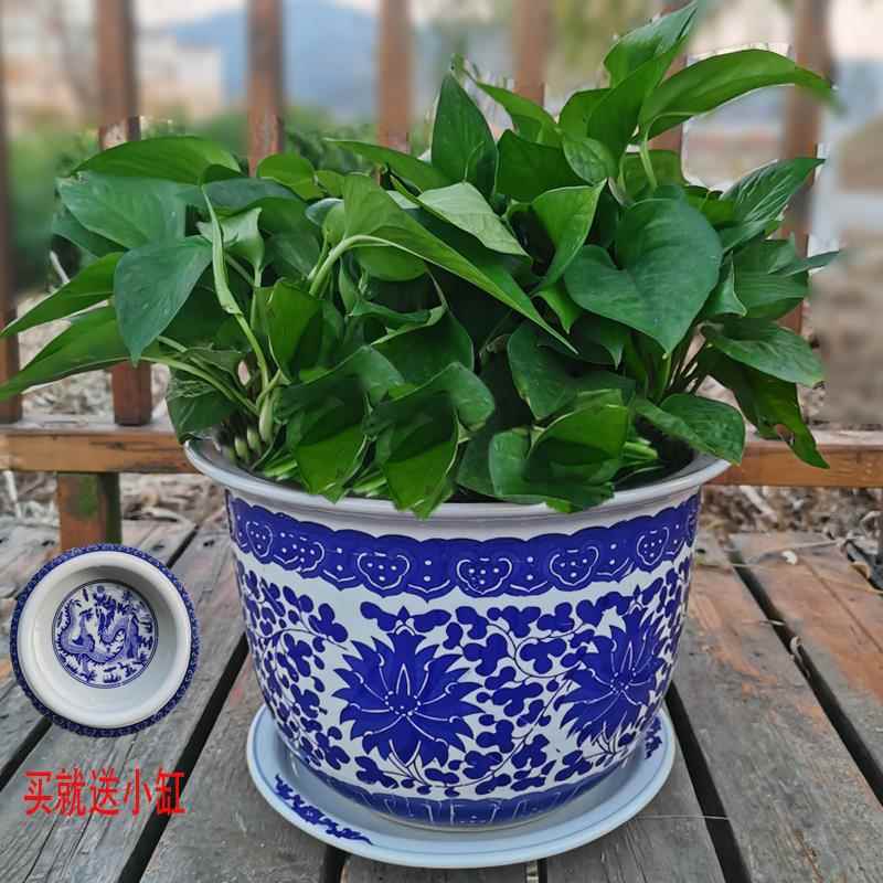 景德镇陶瓷特大号青花瓷花盆带托盘大号户外庭院田园落地桌面盆栽