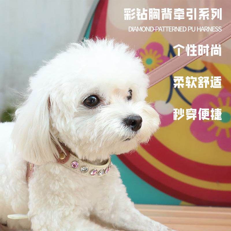 新款直销PU皮猫狗钻石胸背套装小型犬牵引绳子高颜值外出遛狗绳宠