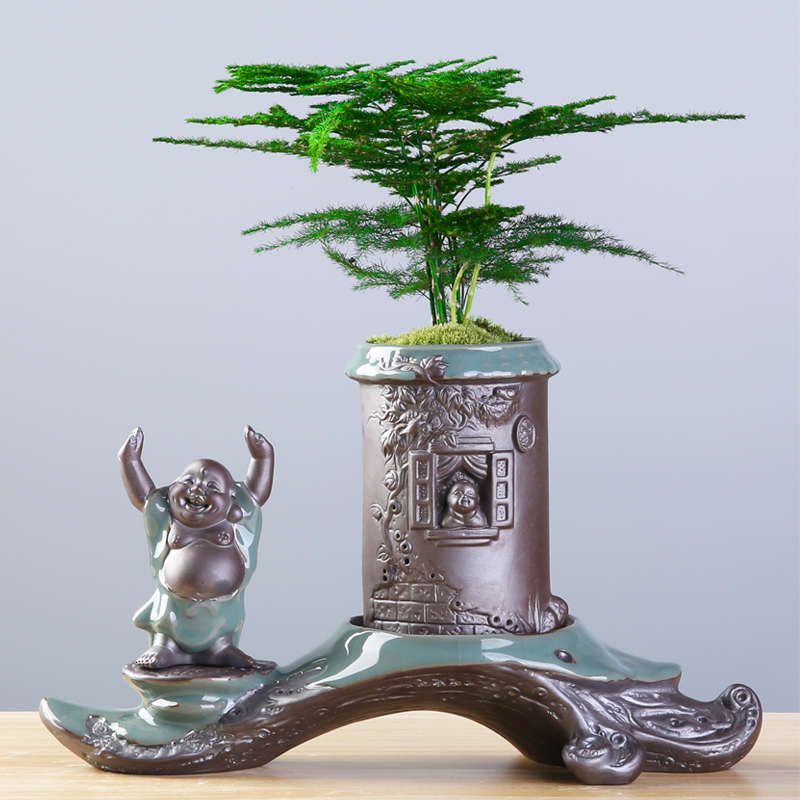 创意个性绿植文竹盆景植物家用办公室内盆栽陶瓷花盆客厅摆件装饰