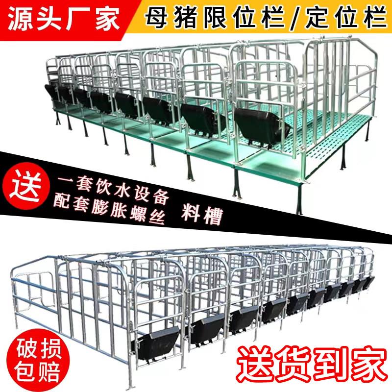 带粪板母猪限位栏落地式简易产床栏加厚热浸镀锌母猪定位栏养殖设