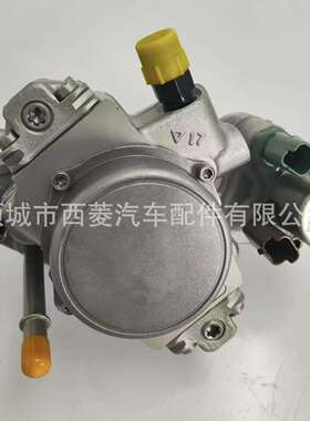 适用德尔福长城哈弗喷油泵 电喷共轨泵1111100-ED01 9424A100A