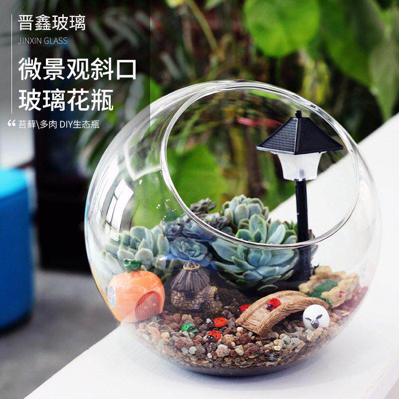 微景观斜口硼硅玻璃花苔藓多肉DIY生态水晶玻璃家居饰品
