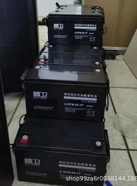 厦门科华精卫蓄电池6-GFM-10012V100AH铅酸直流屏含税供应