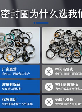 V型金属弹簧蓄能 液压旋转密封圈 F156 平衡密封环 泛塞封 耐高温