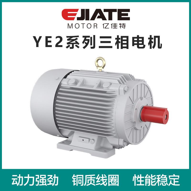 YE2系列高效三相异步电动机3W6极设备机械设备用电机高速马达