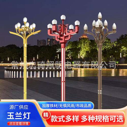 广场路灯6/8/10/12米户外灯中式灯玉兰灯中华灯路灯景观高杆灯