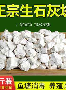 生石灰块石灰粉鱼塘消毒杀菌