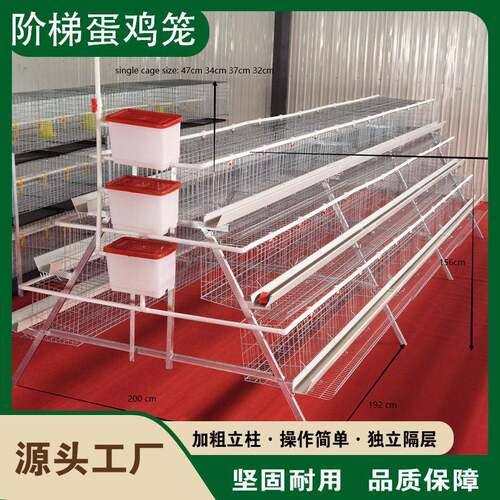 阶梯立体多层蛋鸡笼自动喂料除粪大型养殖鸡舍新型镀锌铁鸡笼