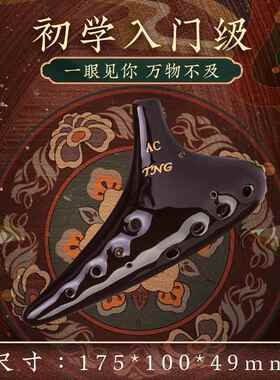 正品陶笛121孔业陶笛1孔2孔Ac陶笛儿童专2陶笛乐谱黑陶