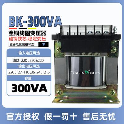 天正BK-300VA机床控制变压器380转220V110V36V24V12V6V全铜隔离
