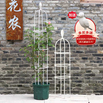植物花卉盆栽爬藤架欧式园艺铁线莲攀爬支架阳台月季飘香藤花架