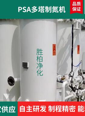 活性碳空分制氮机PSA双塔制氮机新能源行业高纯度空气分离制氮器