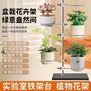 铁架台花架多功能花架实验室铁架子组装花盆架高60/70/100/120